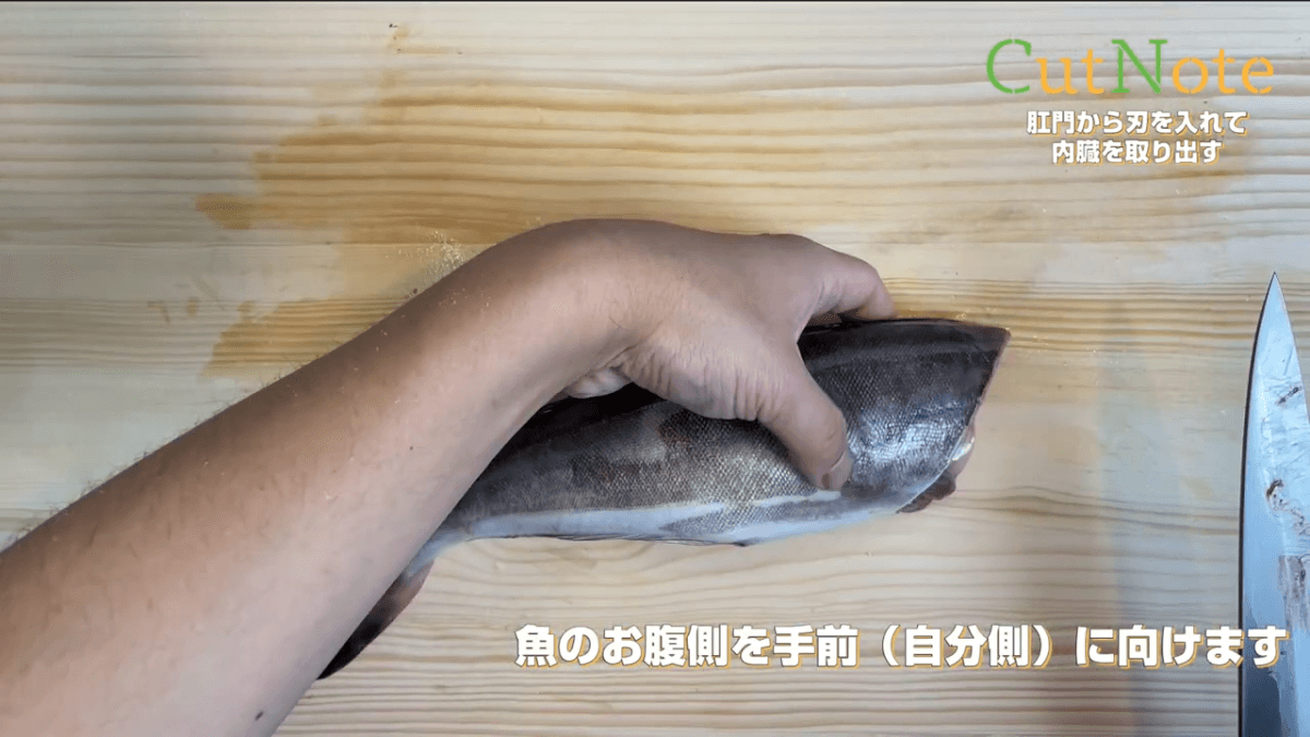 魚のお腹側を手前（自分側）に向けます