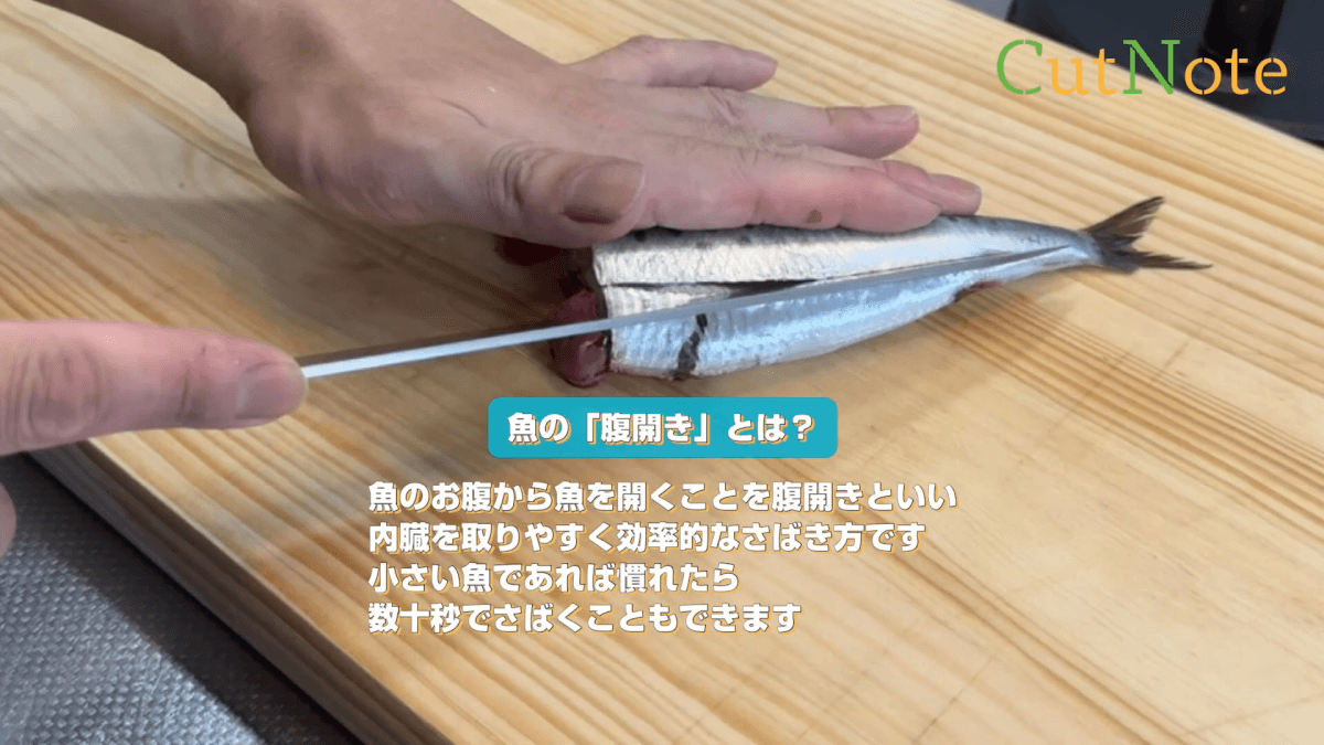 魚の「腹開き」とは？