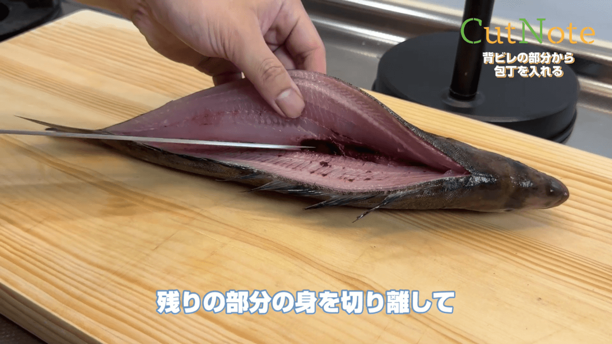 背ビレの部分から包丁を入れる