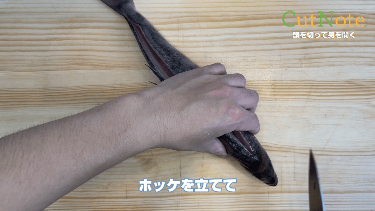 頭を切って身を開く