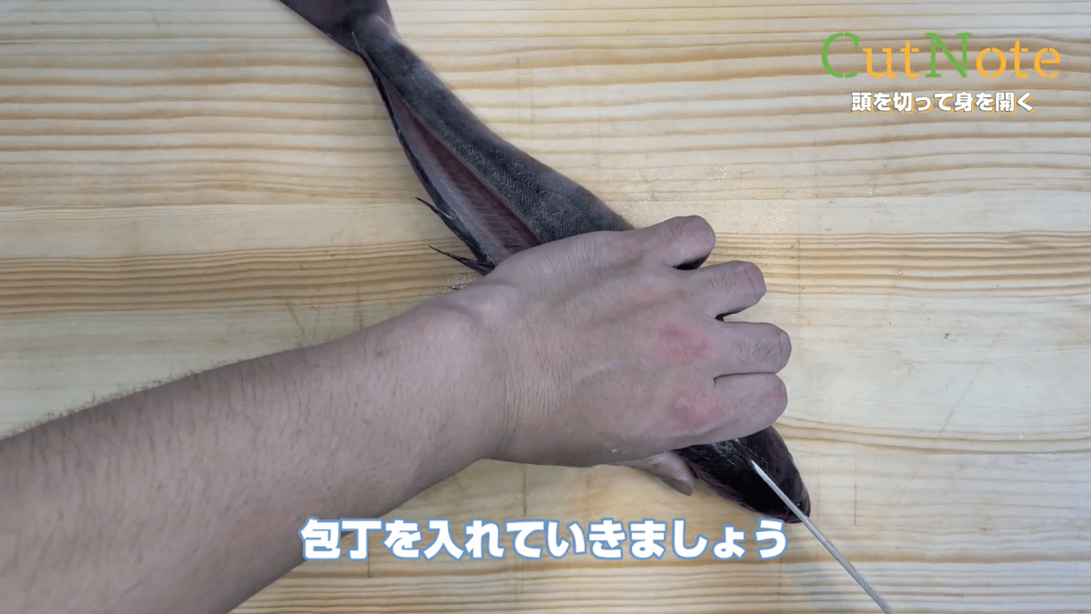 頭を切って身を開く