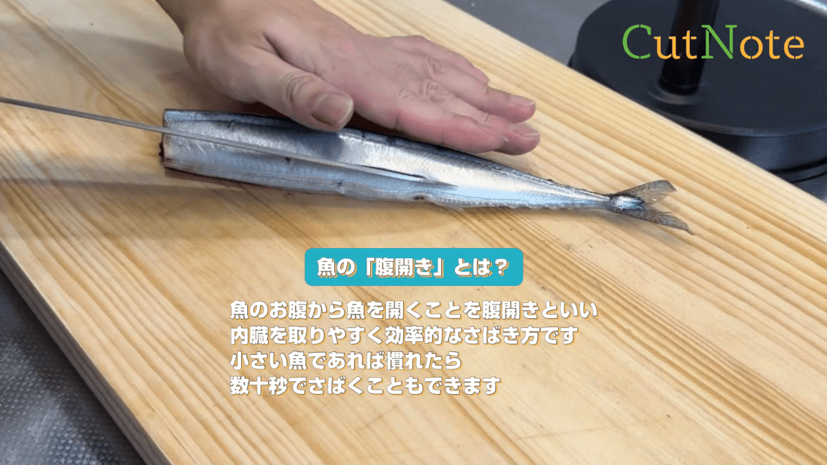 魚の「腹開き」とは？