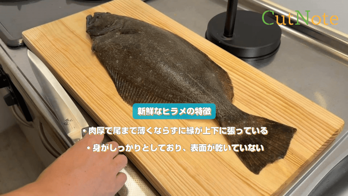 新鮮なヒラメの特徴